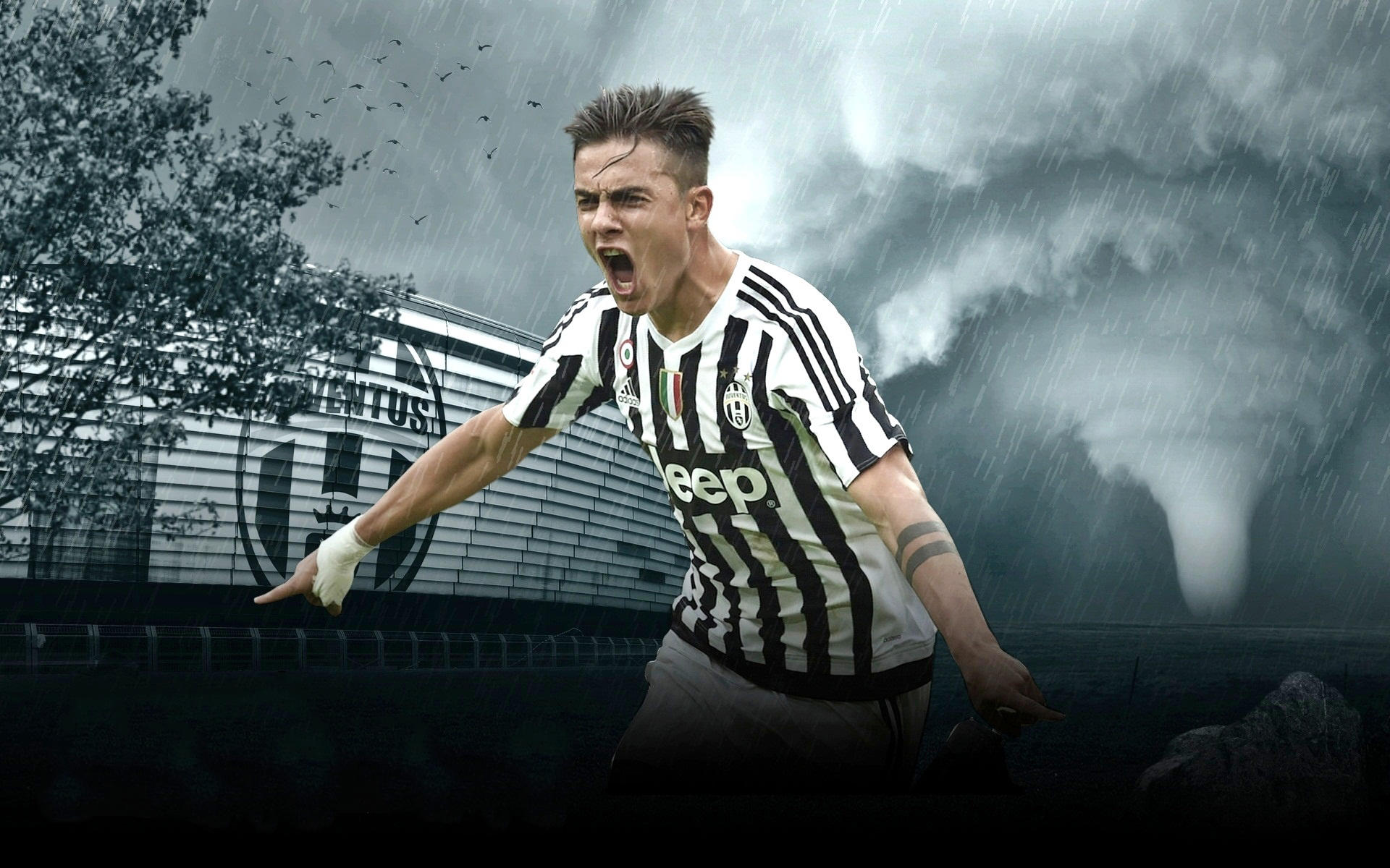 弃用世界第三，王励勤出狠招！国乒大洗牌奥运赌注，21岁新星重用（雪藏世界第三，王励勤强势出手！国乒大洗牌押注奥运，21岁新星获重用）